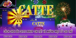 Cách Chơi Bài Catte Rikvip Chi Tiết Và Những Mẹo Từ Cao Thủ