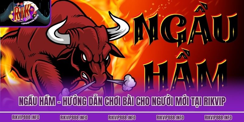 Ngầu Hầm - Hướng Dẫn Chơi Bài Cho Người Mới Tại Rikvip