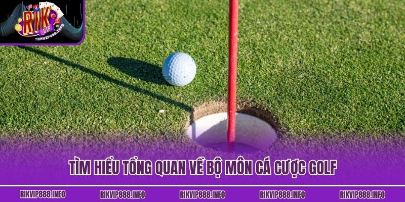Tìm hiểu tổng quan về bộ môn cá cược golf