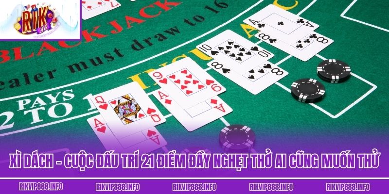 Xì Dách: Cuộc Đấu Trí 21 Điểm Đầy Nghẹt Thở Ai Cũng Muốn Thử